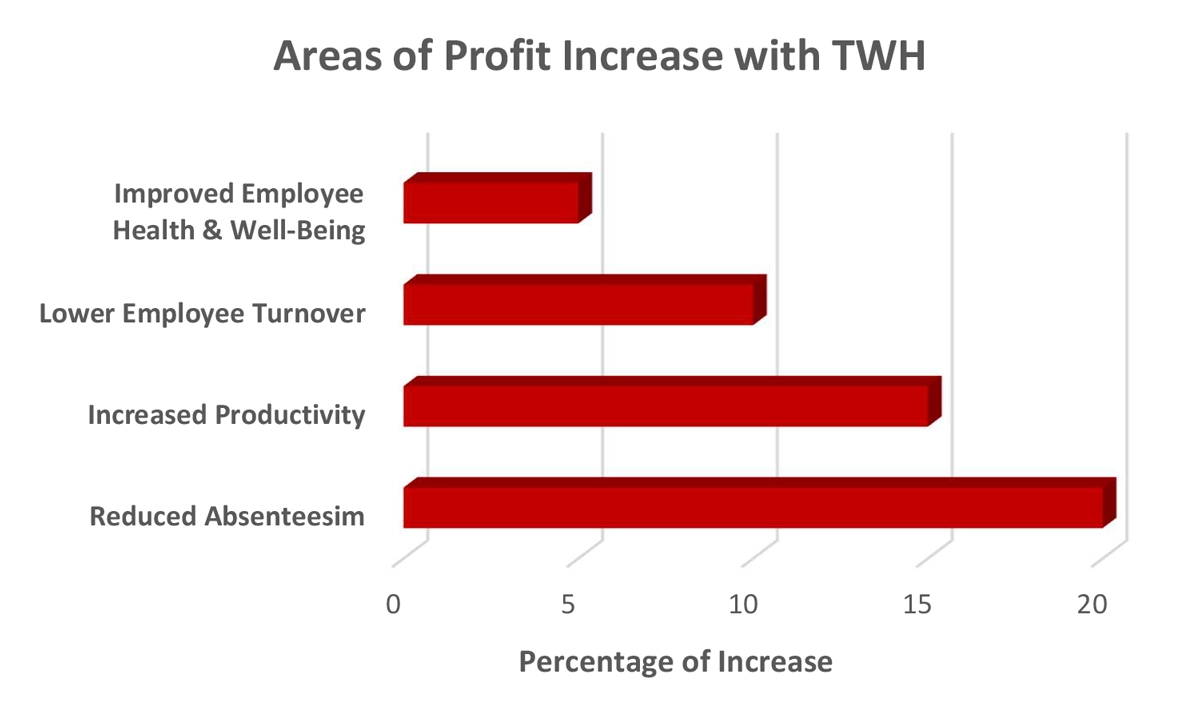 Graph - Areas of Profit Increase with TWH